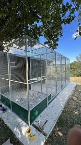 Image agrandie