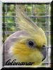 Avatar du membre