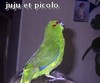 Avatar du membre