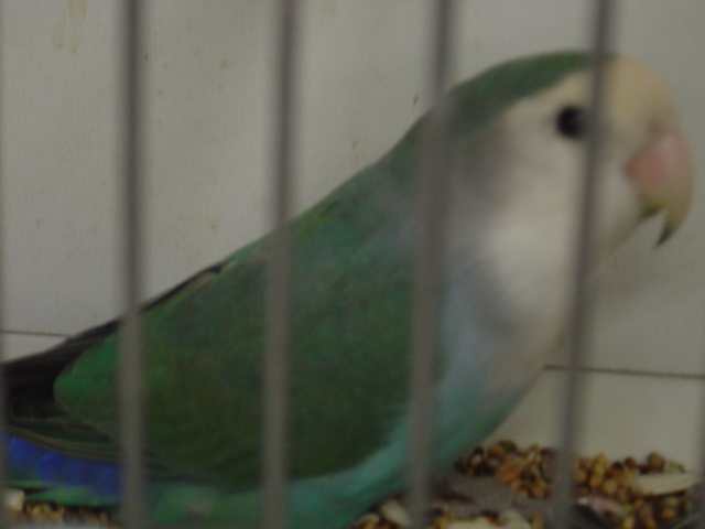 Dsc01574.jpg