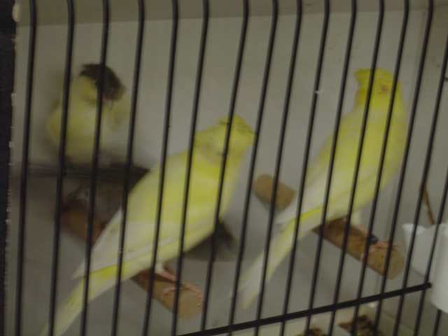 Dsc01612.jpg