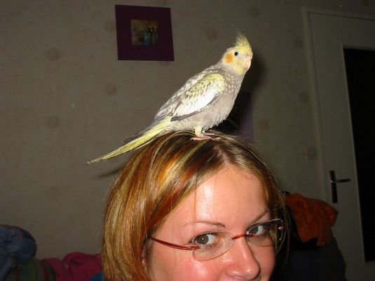 kiwi et moi.jpg