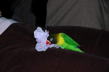 DSC_4903_redimensionner.JPG