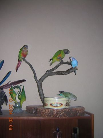 cohabitation2.jpg