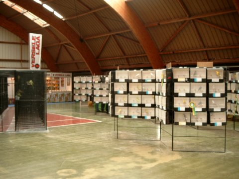 salle merli.jpg