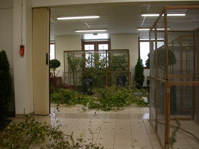 Montage 05.jpg