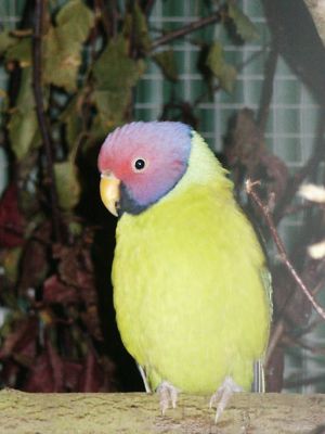 PICT0175.JPG
