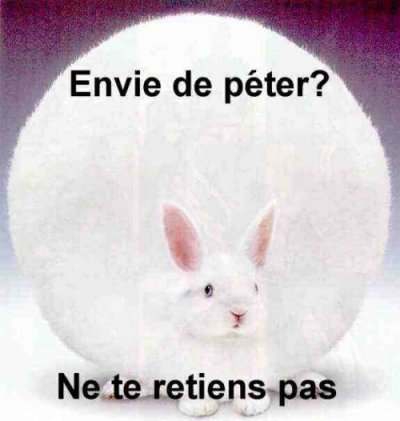 peter.jpg