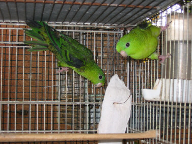 119-1920_IMG.JPG