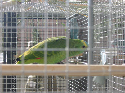 140-4090_IMG.JPG