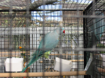 141-4118_IMG.JPG