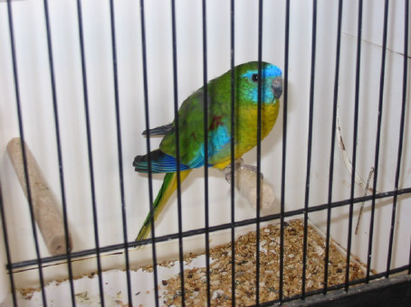 141-4142_IMG.JPG
