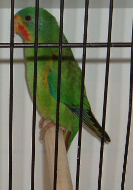 c28.jpg