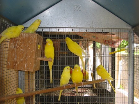 ondulÃ©e 02.jpg