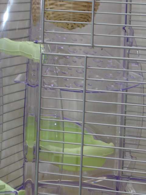 nvelle cage baignoire.jpg