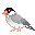 java_s1[1].gif