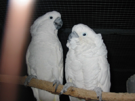 142-4211_IMG.JPG