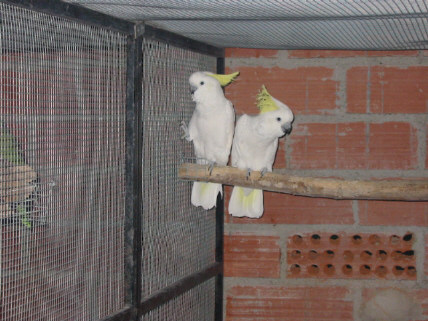 142-4205_IMG.JPG