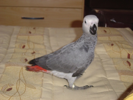 01.JPG