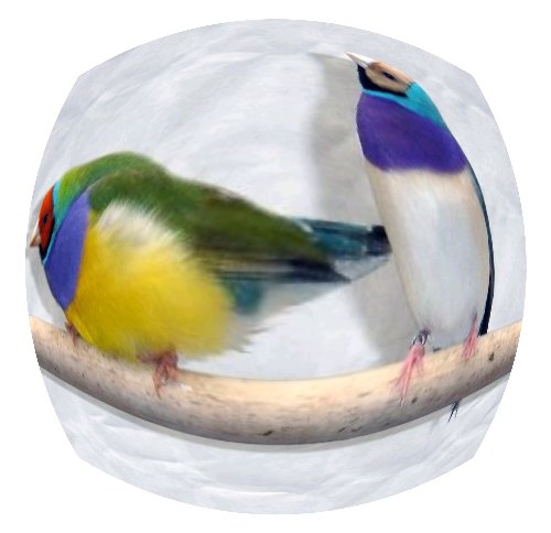 lentille.jpg