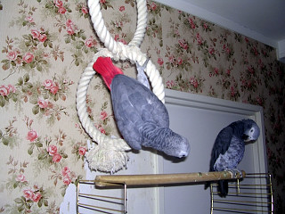 Photo 004.jpg
