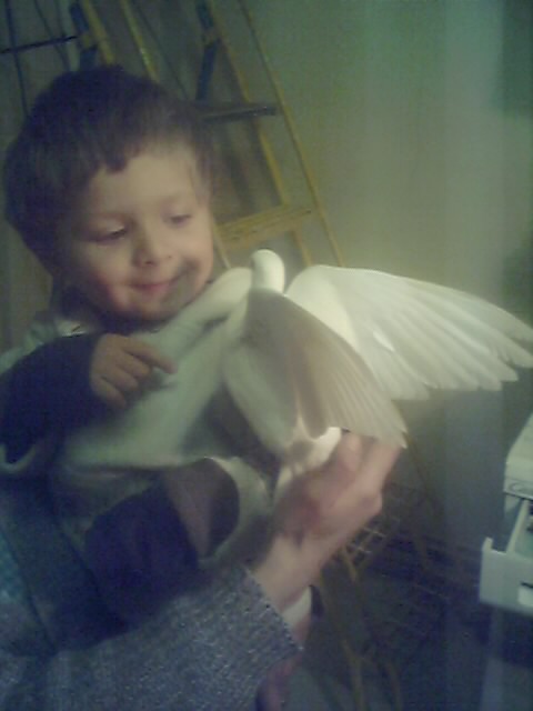 Photo 00711.jpeg