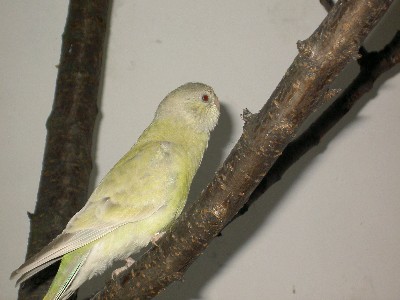 PICT0840.JPG