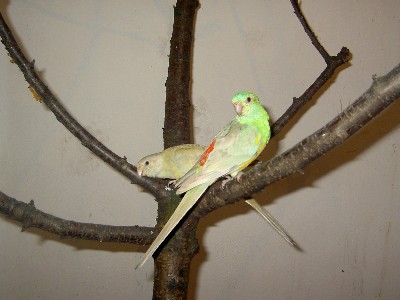 PICT0856.JPG