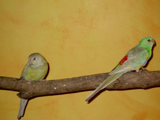 PICT0873.JPG