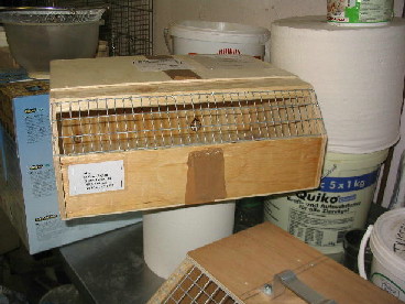 bte de trans. grd._1.JPG