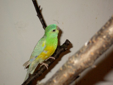 PICT0848.JPG