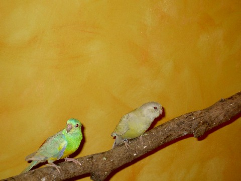 PICT0844r.jpg