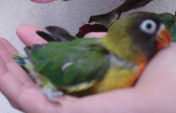 bb perso 260105.jpg