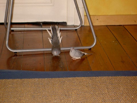 PICT0878r.jpg