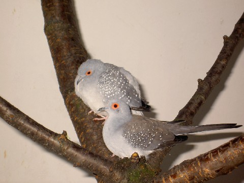 PICT0727r.jpg