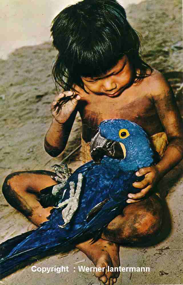 enfant et Hyac.jpg
