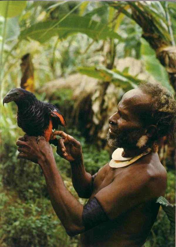 Nlle GuinÃ©e.jpg
