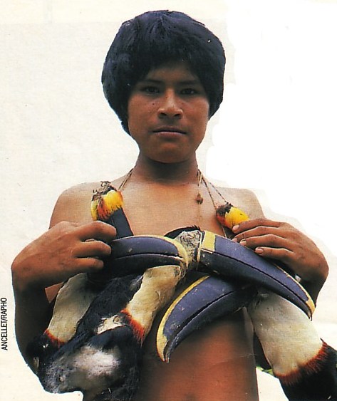 jivaros et toucans.jpg