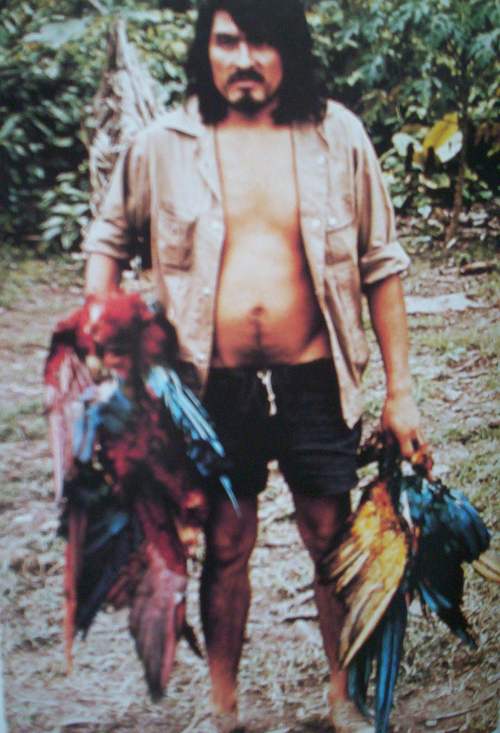 chasse aux aras par les indiens.jpg