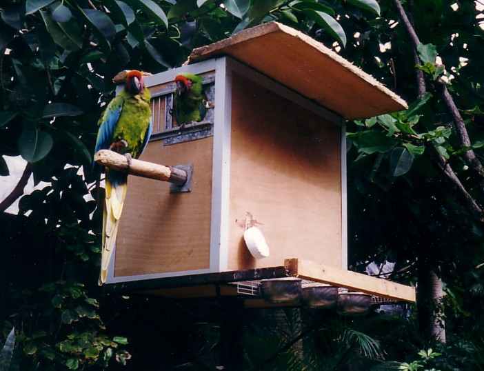 mili loro.jpg