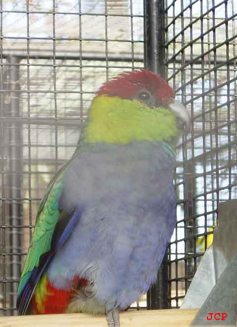 Expo Oraison_14_11_2004 012 copie.jpg