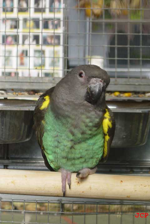 Expo Oraison_14_11_2004 004 copie.jpg