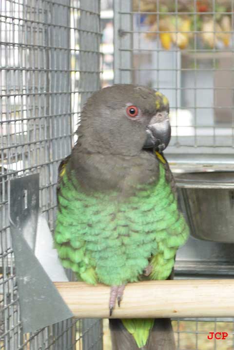 Expo Oraison_14_11_2004 003 copie.jpg