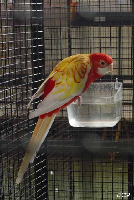 Expo Oraison_14_11_2004 040 copie.jpg