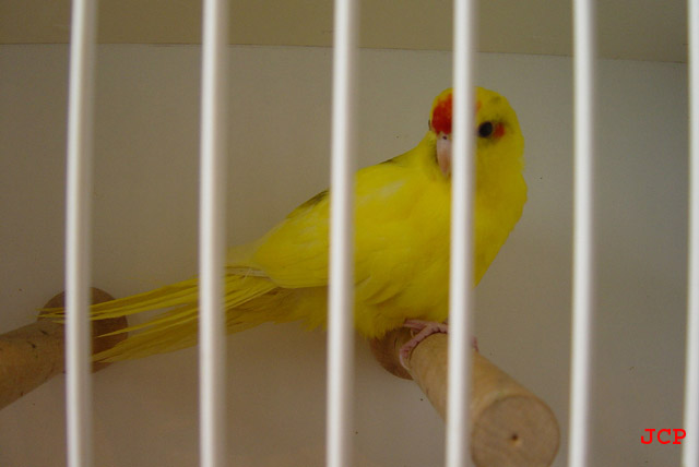 Expo Oraison_14_11_2004 025 copie.jpg