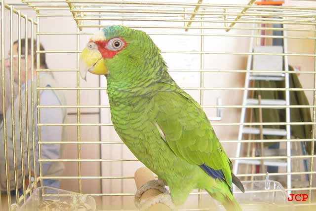 Expo Oraison_14_11_2004 028 copie.jpg