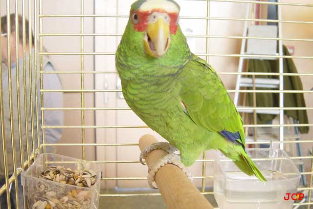 Expo Oraison_14_11_2004 027 copie.jpg