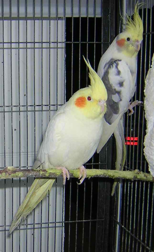 DSCN1044.jpg