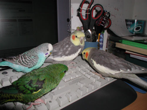 P1010009.jpg