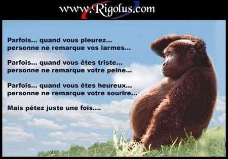 vive la philo.jpg